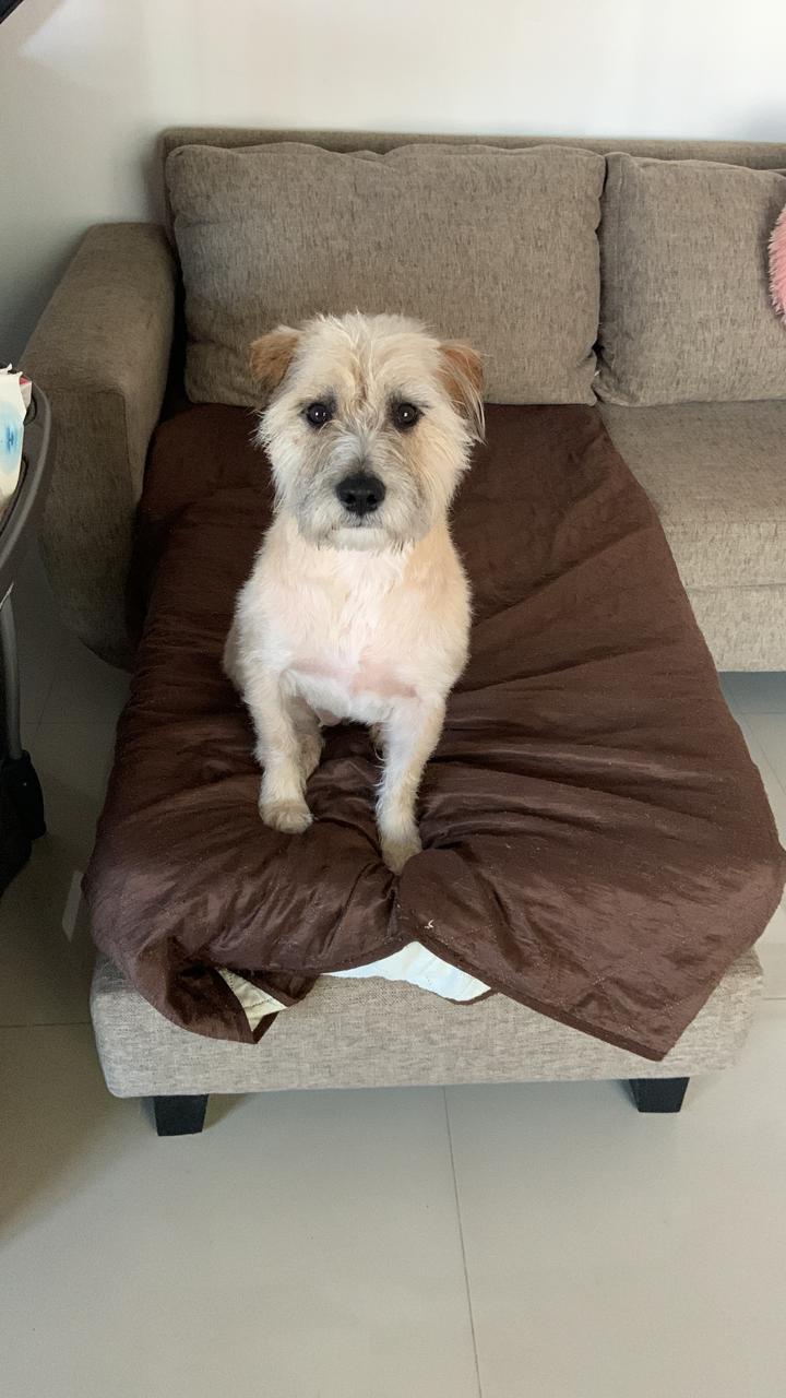 WhatsApp Image 2026-02-11 at 12.24