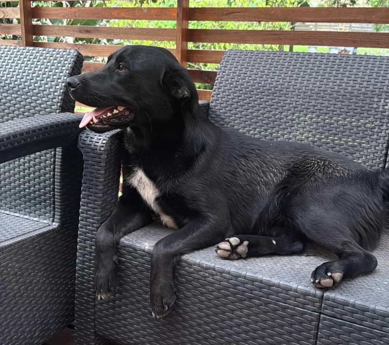 WhatsApp Image 2026-02-12 at 22.56