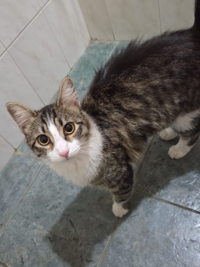 WhatsApp Image 2026-02-19 at 01.03