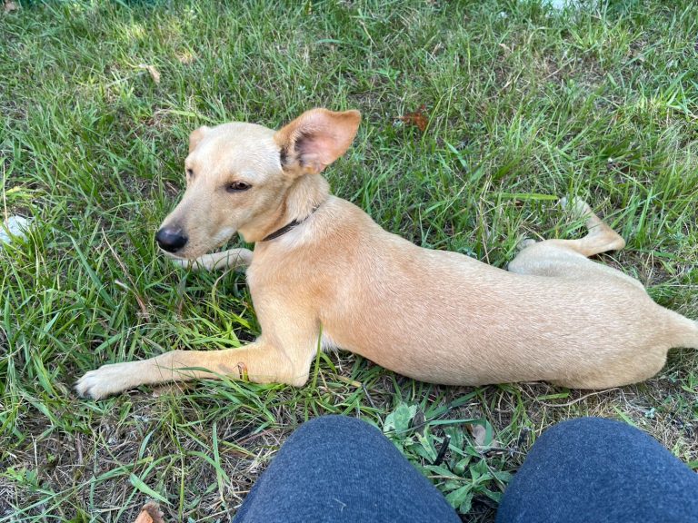 WhatsApp Image 2026-02-27 at 09.47