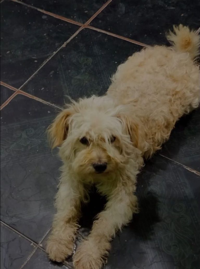 WhatsApp Image 2026-02-27 at 10.41