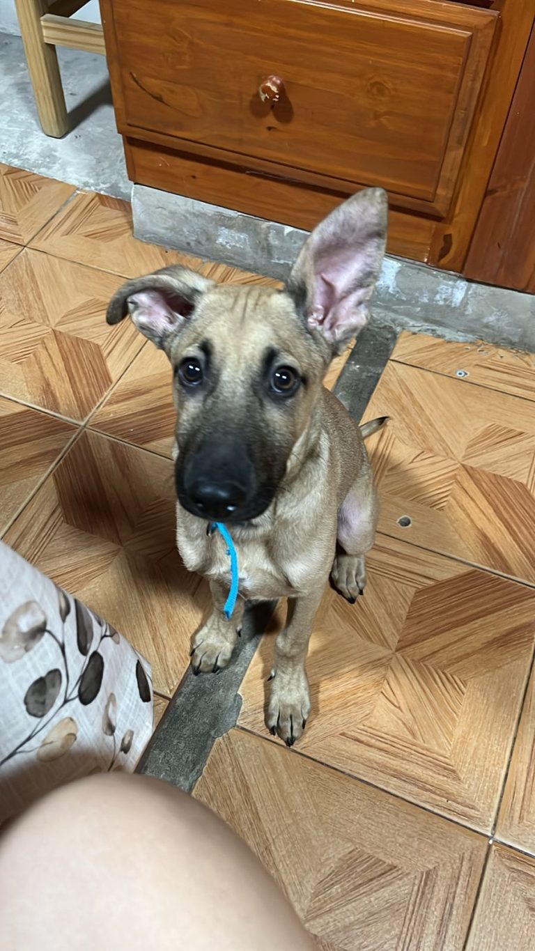 WhatsApp Image 2026-02-27 at 10.54