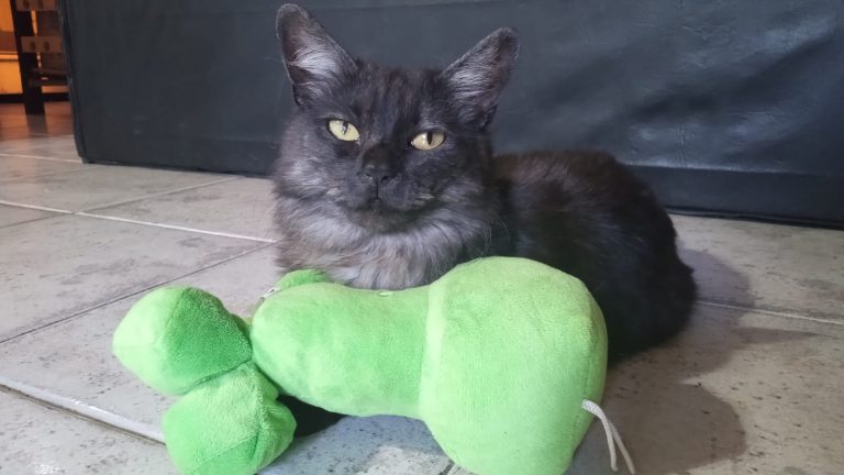 WhatsApp Image 2026-02-27 at 10.56