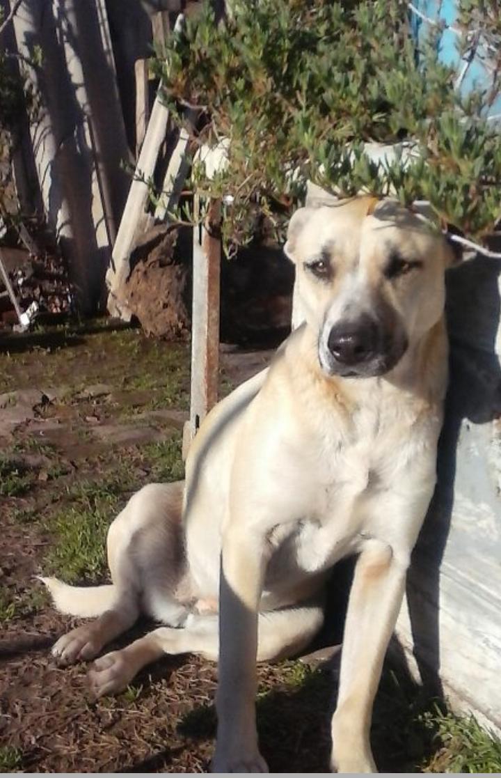 462581200_957861416398391_7607341906179577000_n