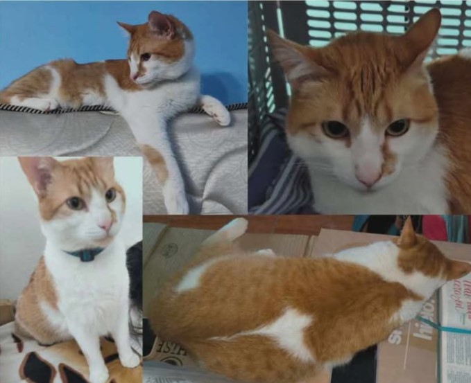 640399235_805372119246796_6002838339121318331_n