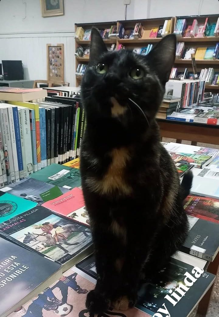 641283505_1505288254717106_1602514646006692963_n