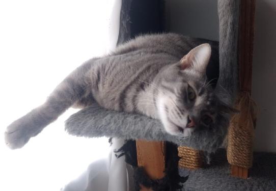 642606638_1437915694456042_5630346878551065261_n