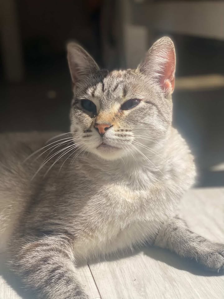 643416510_693861920455819_4188103658136577557_n