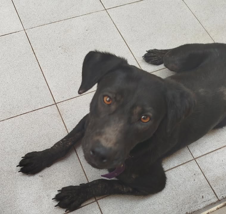 643742001_959873029730423_4493911467677323820_n