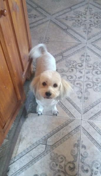 645115263_25689800987388280_8293511654231068554_n