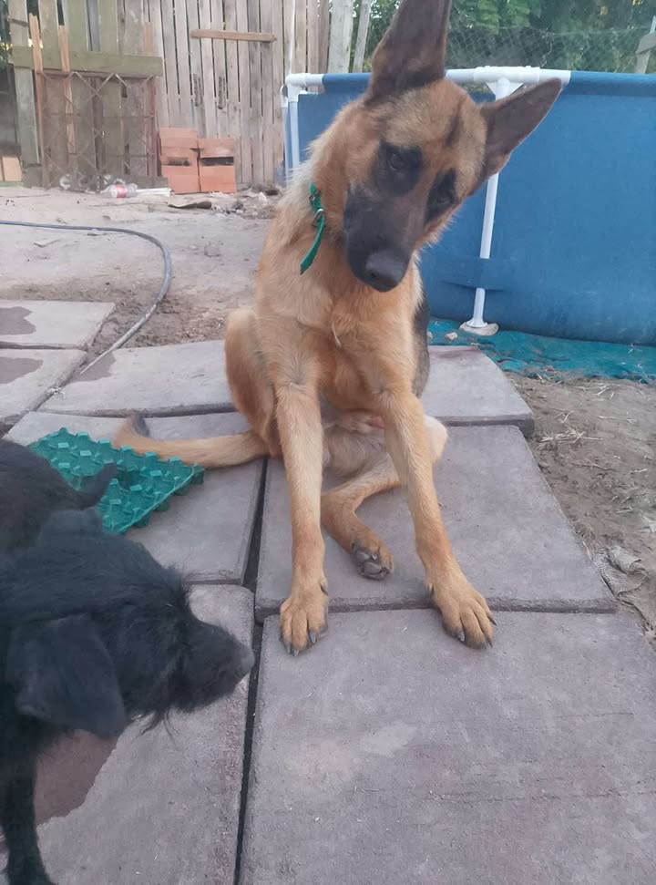 645470526_1570949990860908_4555257022995229556_n