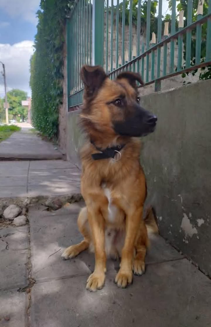 645806243_4530515743850812_7798906011120983453_n