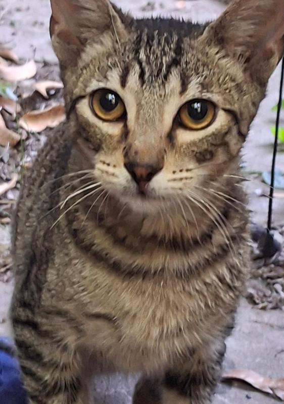 650114623_1449883316684456_8032900865352352512_n