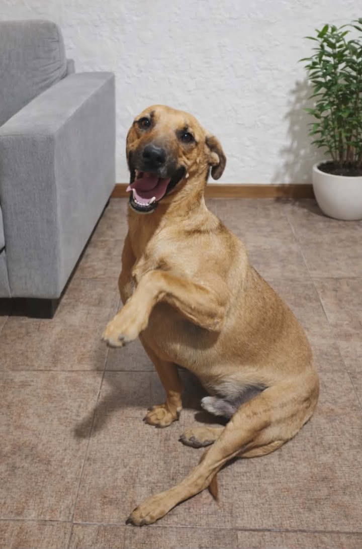 656863204_1417500612929371_3090306577142914667_n