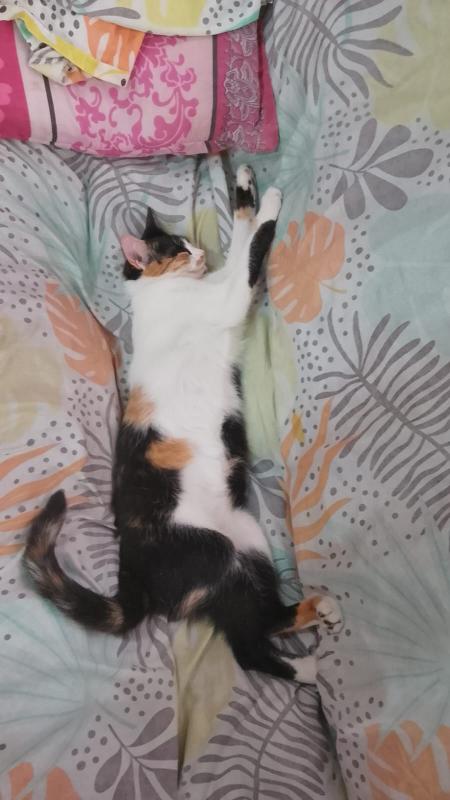 656927807_1656529538814258_6590009601570322341_n