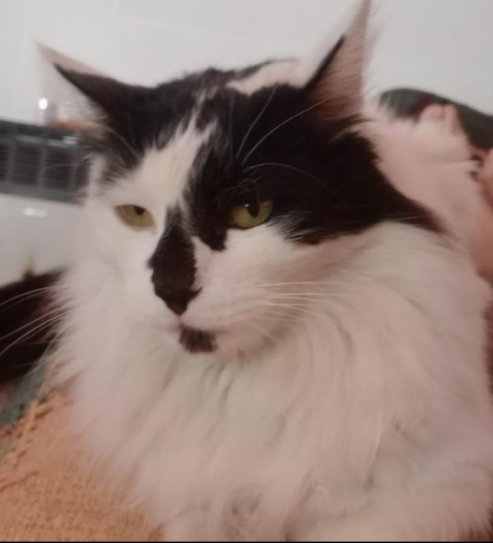 657036432_1305024054894639_172300460270596814_n