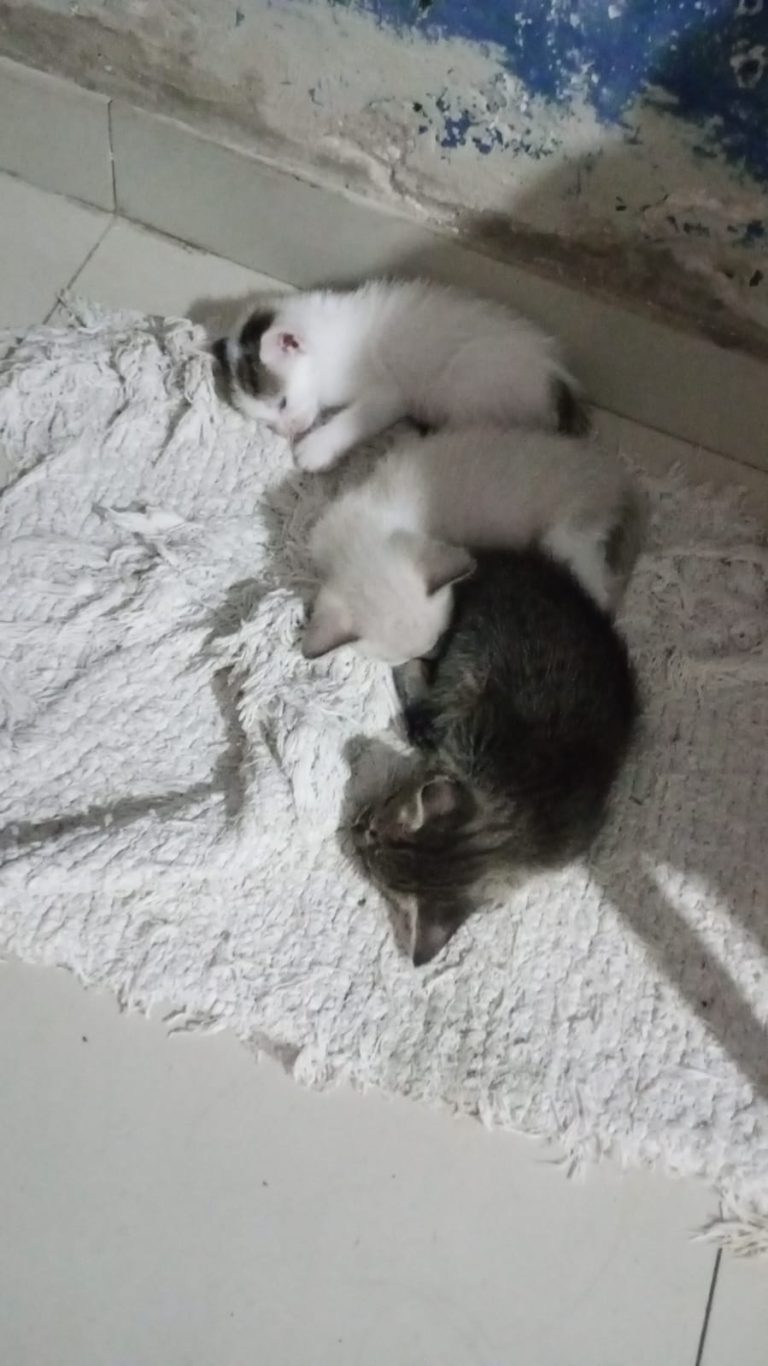 WhatsApp Image 2026-02-28 at 15.24