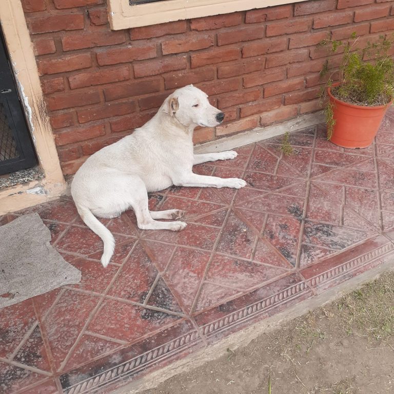 WhatsApp Image 2026-03-03 at 14.14