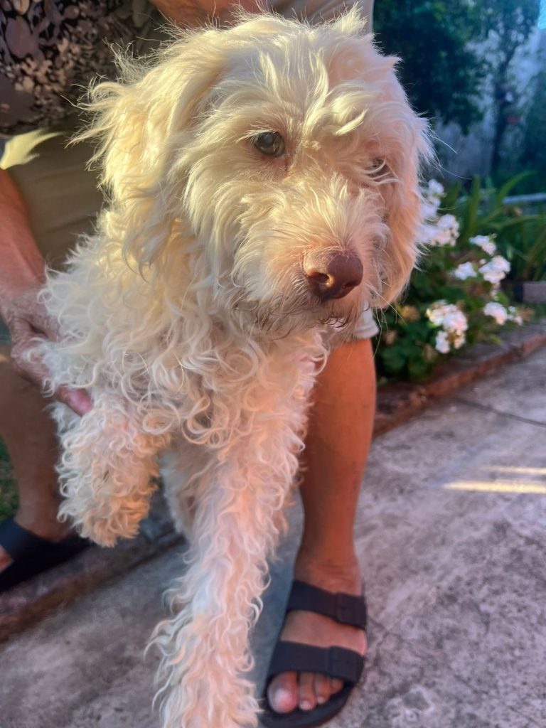 WhatsApp Image 2026-03-03 at 20.26