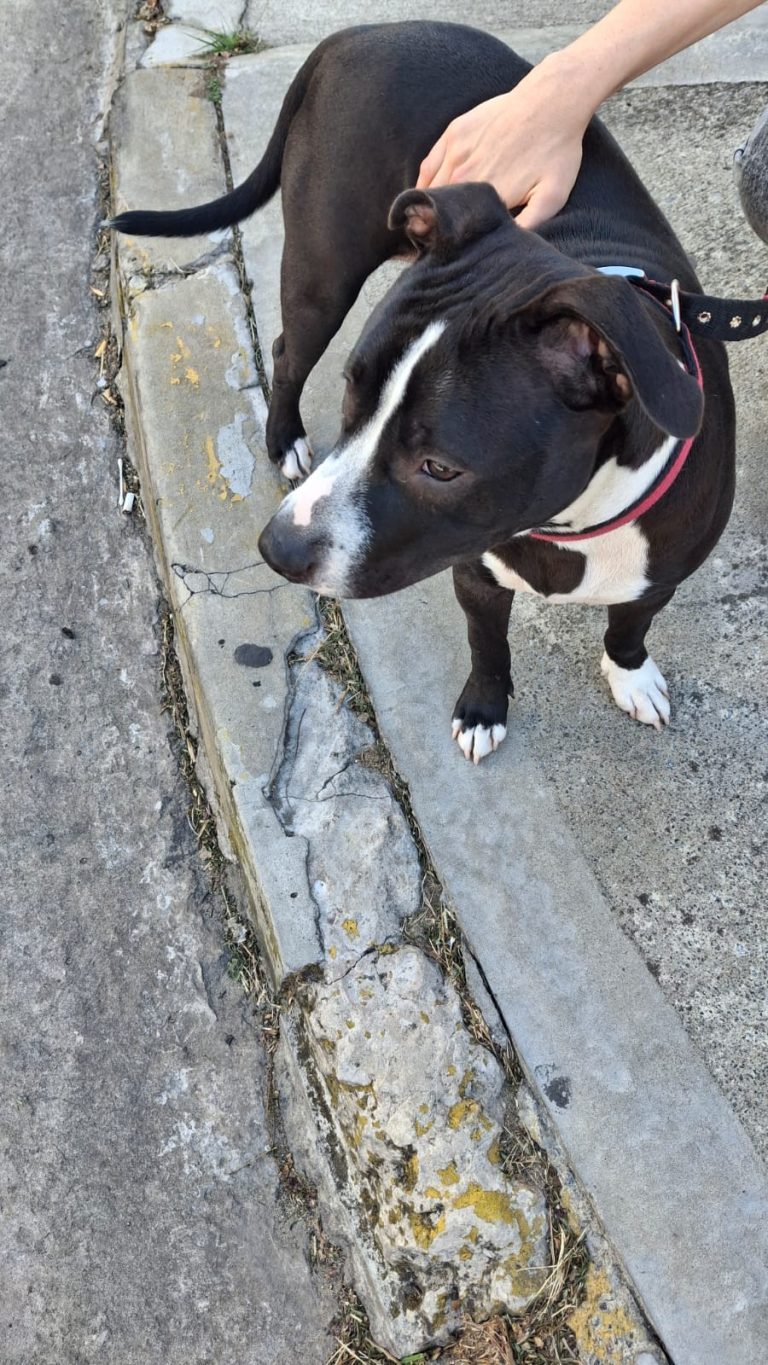 WhatsApp Image 2026-03-04 at 11.43