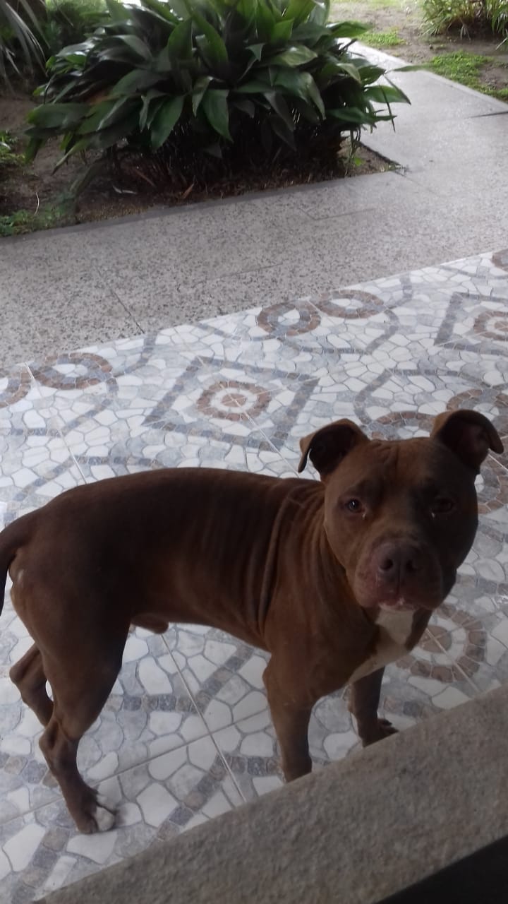 WhatsApp Image 2026-03-09 at 09.24