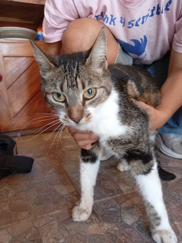 WhatsApp Image 2026-03-09 at 13.28