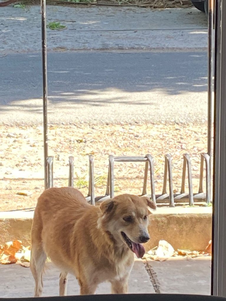 WhatsApp Image 2026-03-10 at 21.36