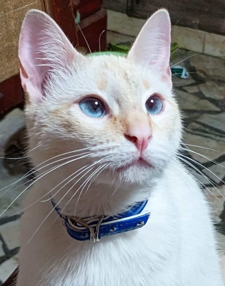 WhatsApp Image 2026-03-11 at 16.39