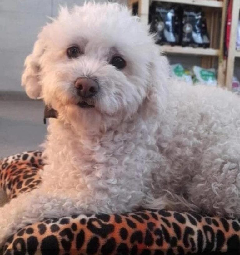 WhatsApp Image 2026-03-13 at 12.40