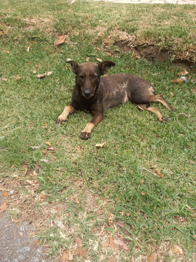 WhatsApp Image 2026-03-13 at 18.41