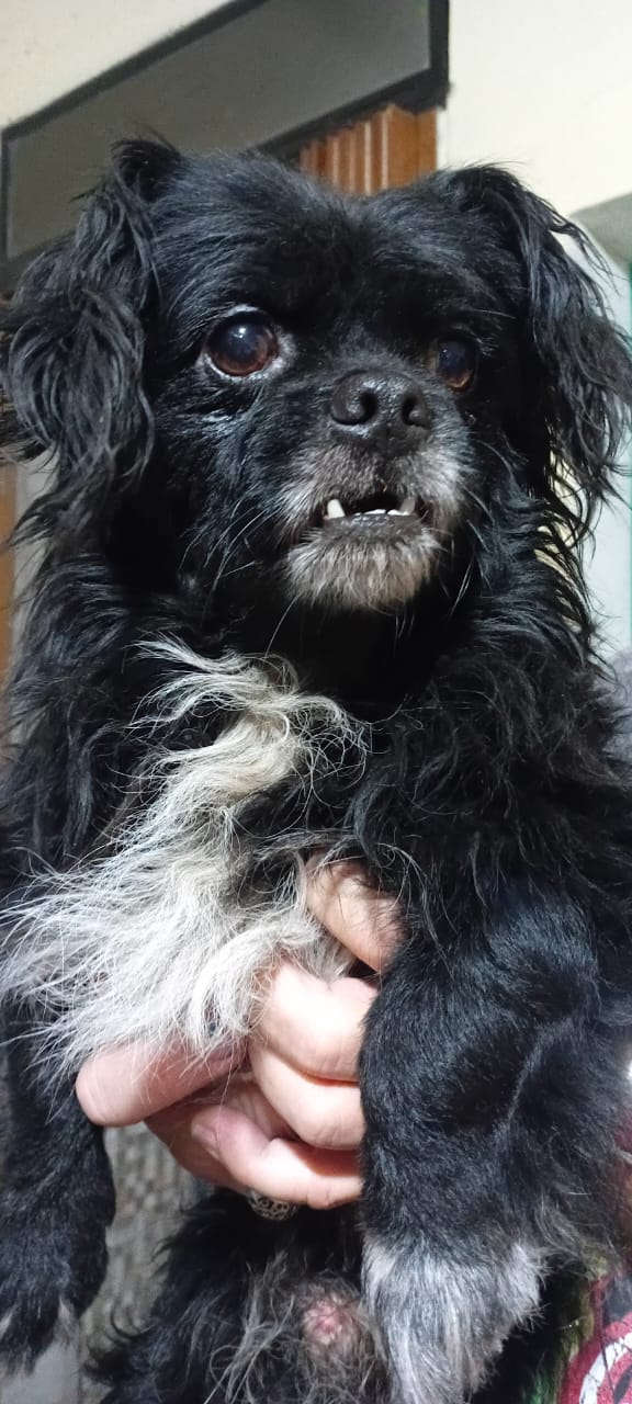 WhatsApp Image 2026-03-17 at 08.35