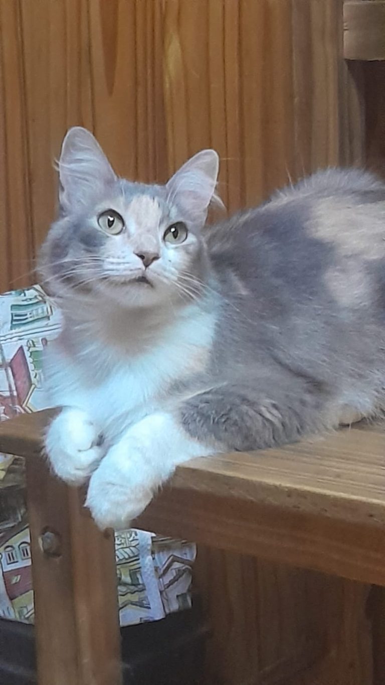 WhatsApp Image 2026-03-19 at 09.27