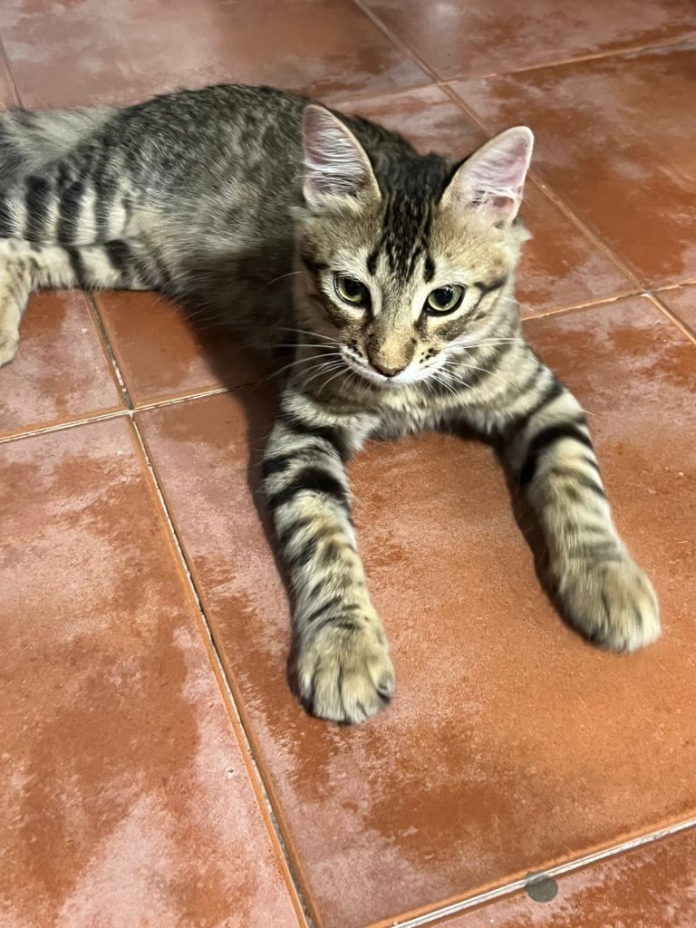 WhatsApp Image 2026-03-23 at 15.48