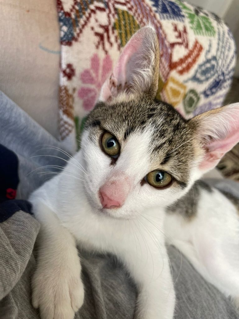 WhatsApp Image 2026-03-25 at 09.36