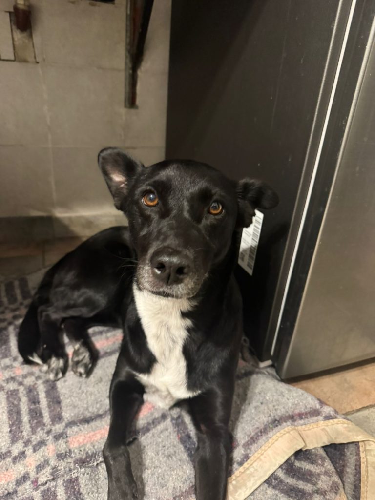 c29c3118-089d-423a-bf9b-db154bba74f7