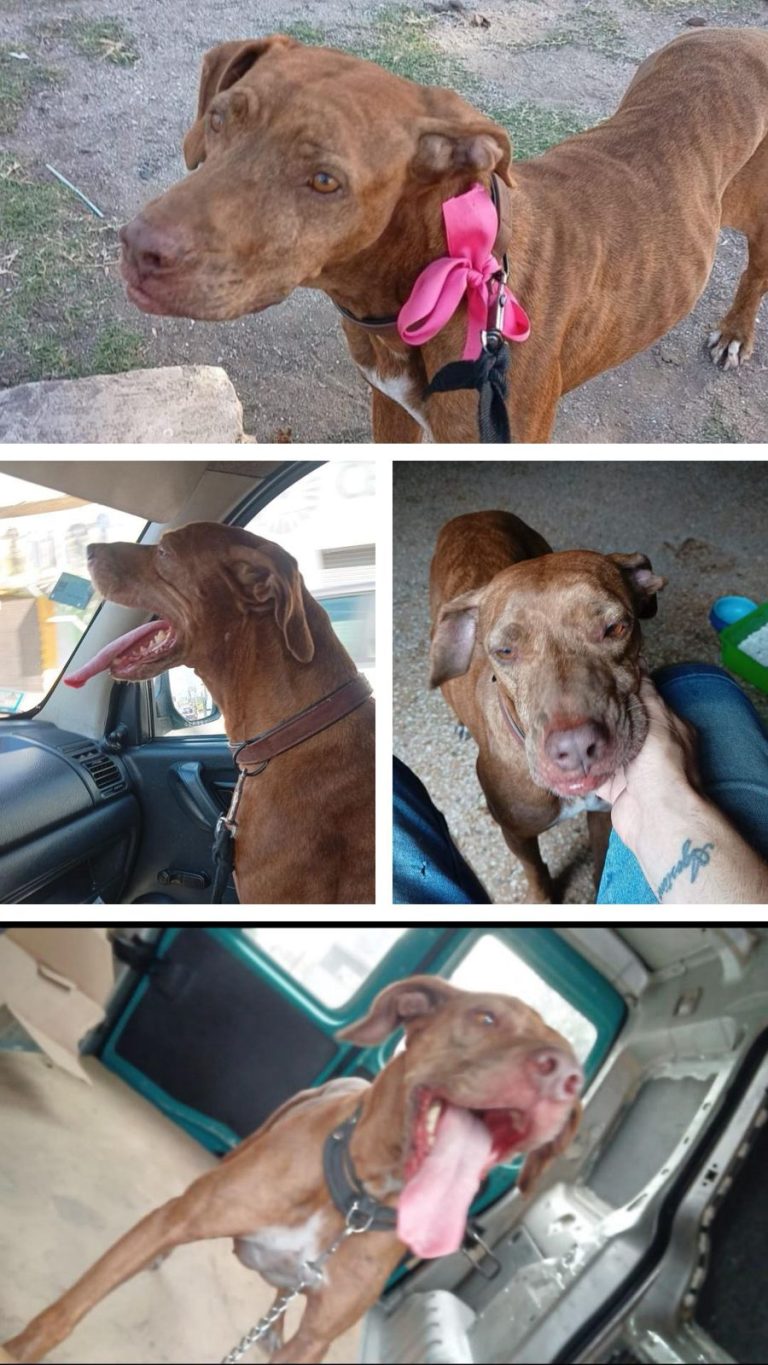 f00df0dc-e153-4e74-bde0-20ad0d5f0cbc