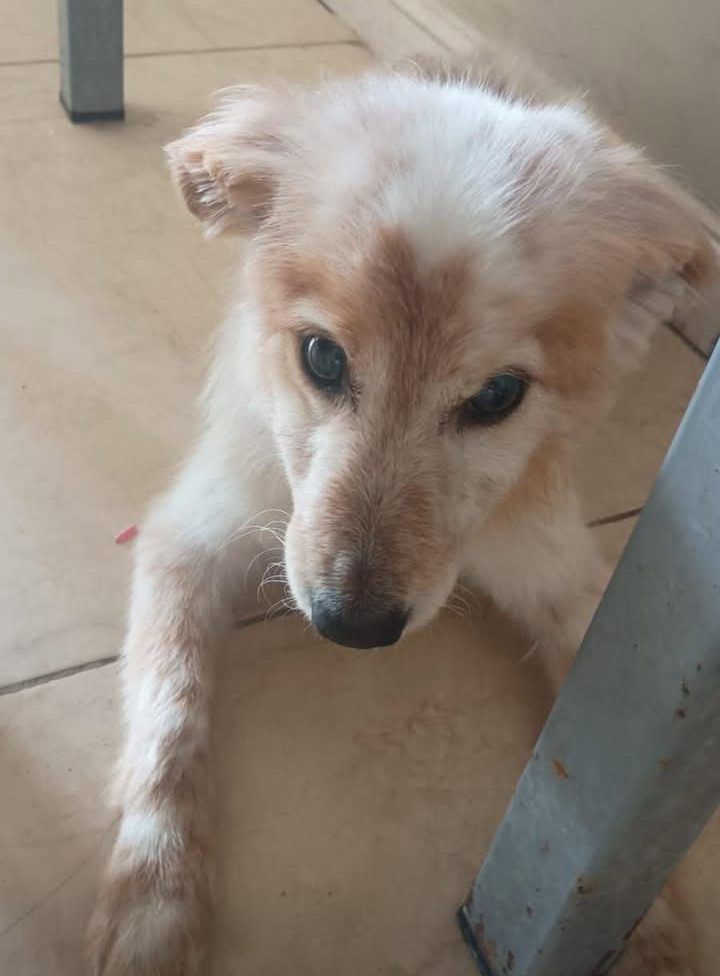 643566413_1381906597291880_3786048715077399178_n