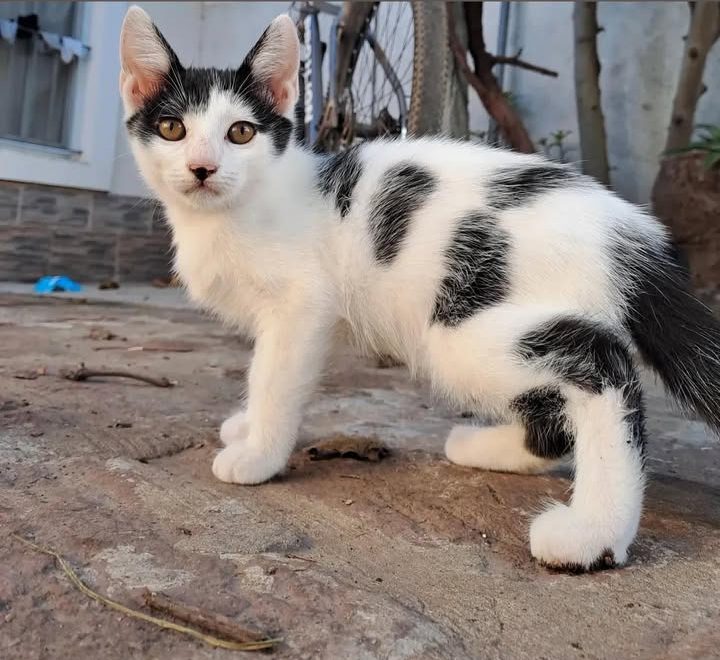 661111902_1571172077320480_2833856268732139528_n