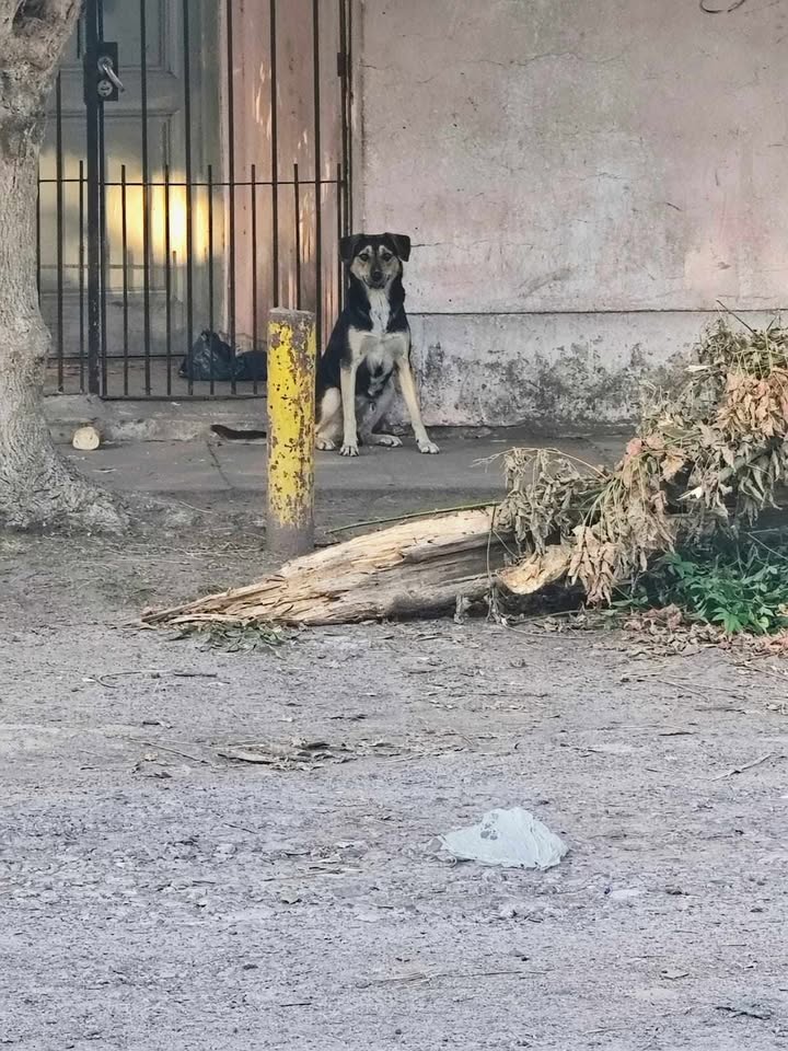 661715461_1916553422308500_4050378793123104166_n