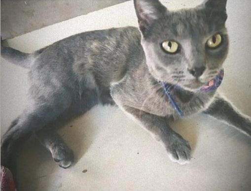 662233139_2149244542281563_98804069427332519_n