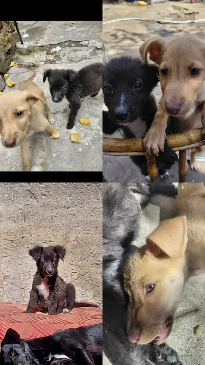 662298869_1292921106092462_3806287497673120868_n