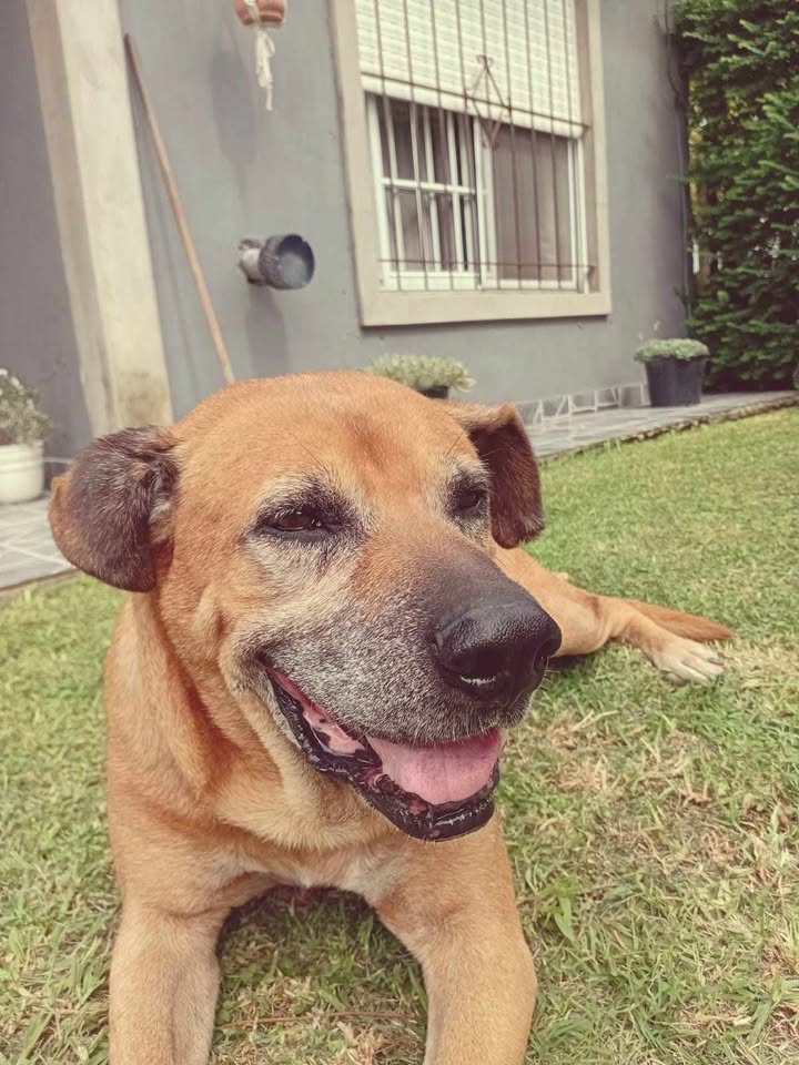 663241994_2475919736202015_4369317172182212670_n