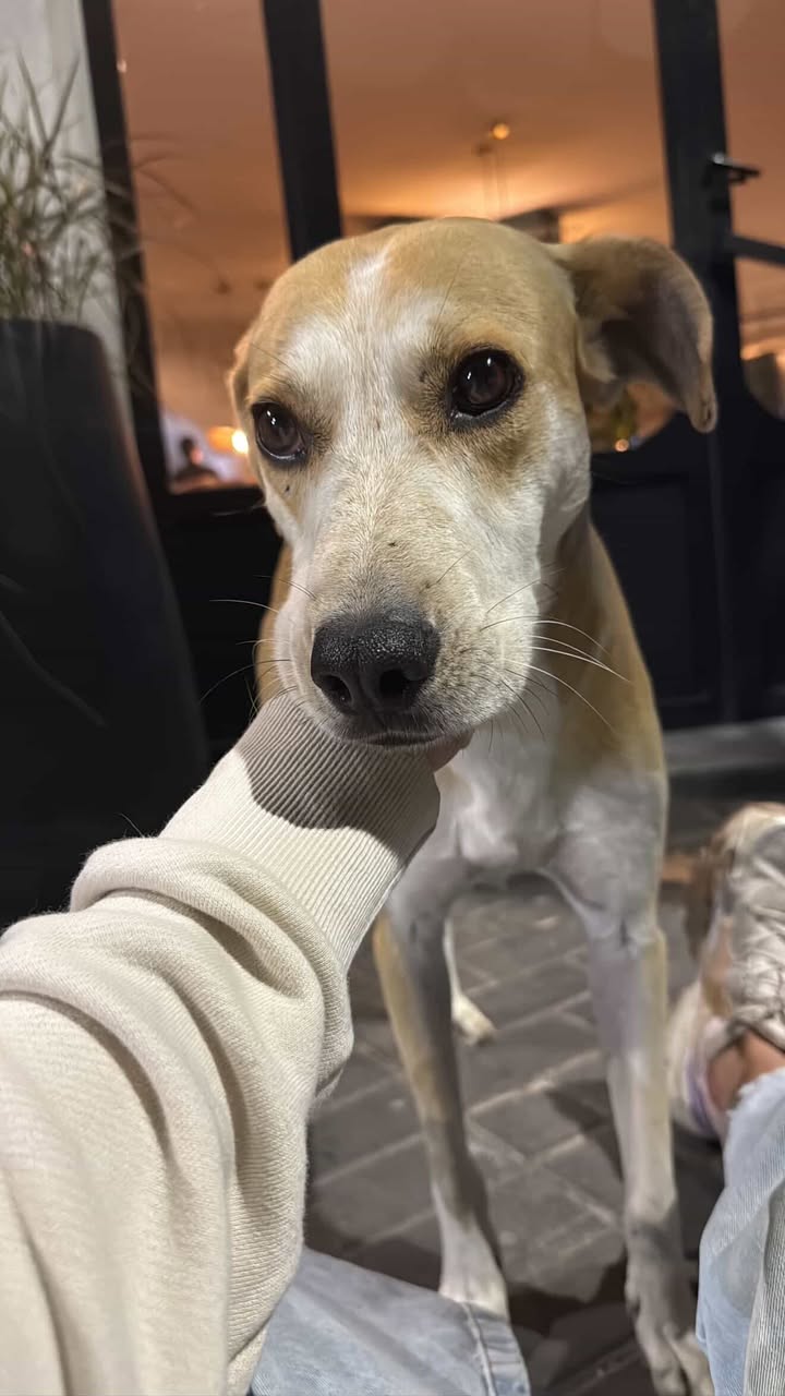 663860608_927533513593611_5795998756493023961_n