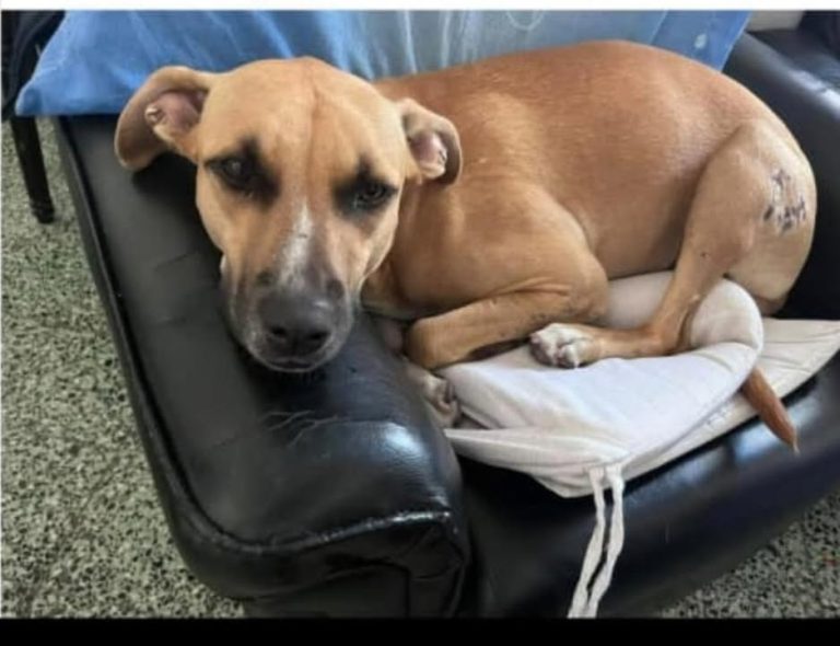 664227309_1633874450866287_6380929364056376597_n