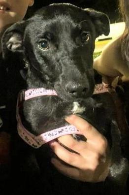 664466382_4313344205661714_6575885183914143886_n