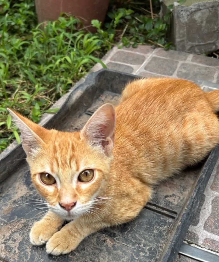 664919200_891156917223397_5897901719826076357_n