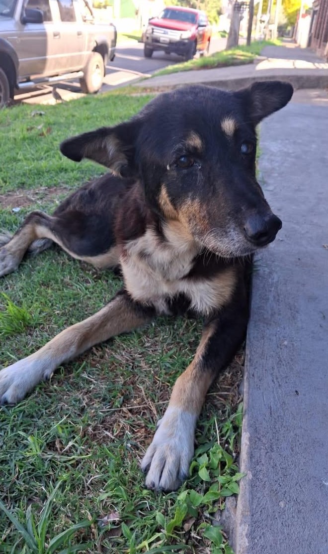 665144594_2669922966711086_5642323634674194052_n