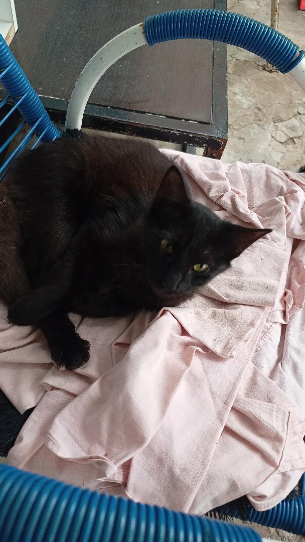 668133776_1440680831125730_7305574617633384187_n