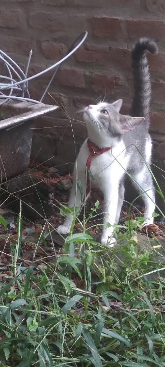 668338595_924480223819949_7610340733689078449_n