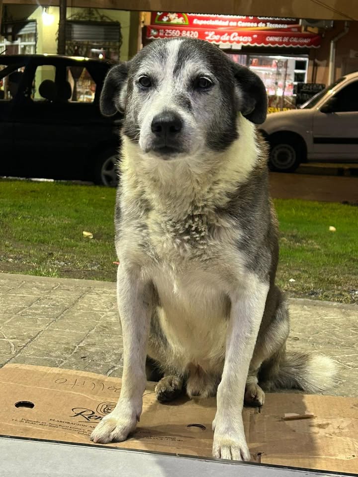 671306213_1396280375635955_113714557304094738_n